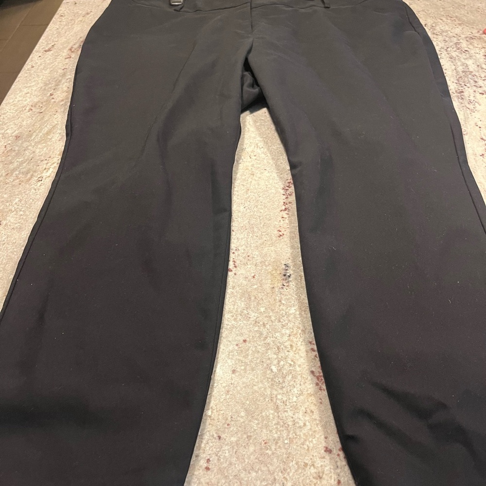 Loft Plus size Marissa skinny 22